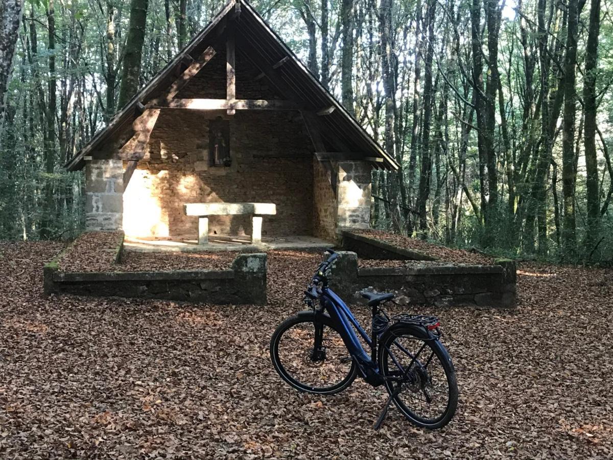 Le Cottage Du Sequoia Chamberet Εξωτερικό φωτογραφία